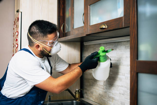 Best Pest Prevention Services  in Puyallup, WA