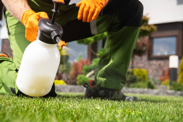 Pest Control Cost in Puyallup, WA