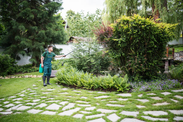 Best Pest Removal Services  in Puyallup, WA
