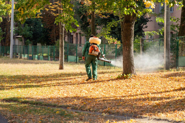 Best Bird Control  in Puyallup, WA